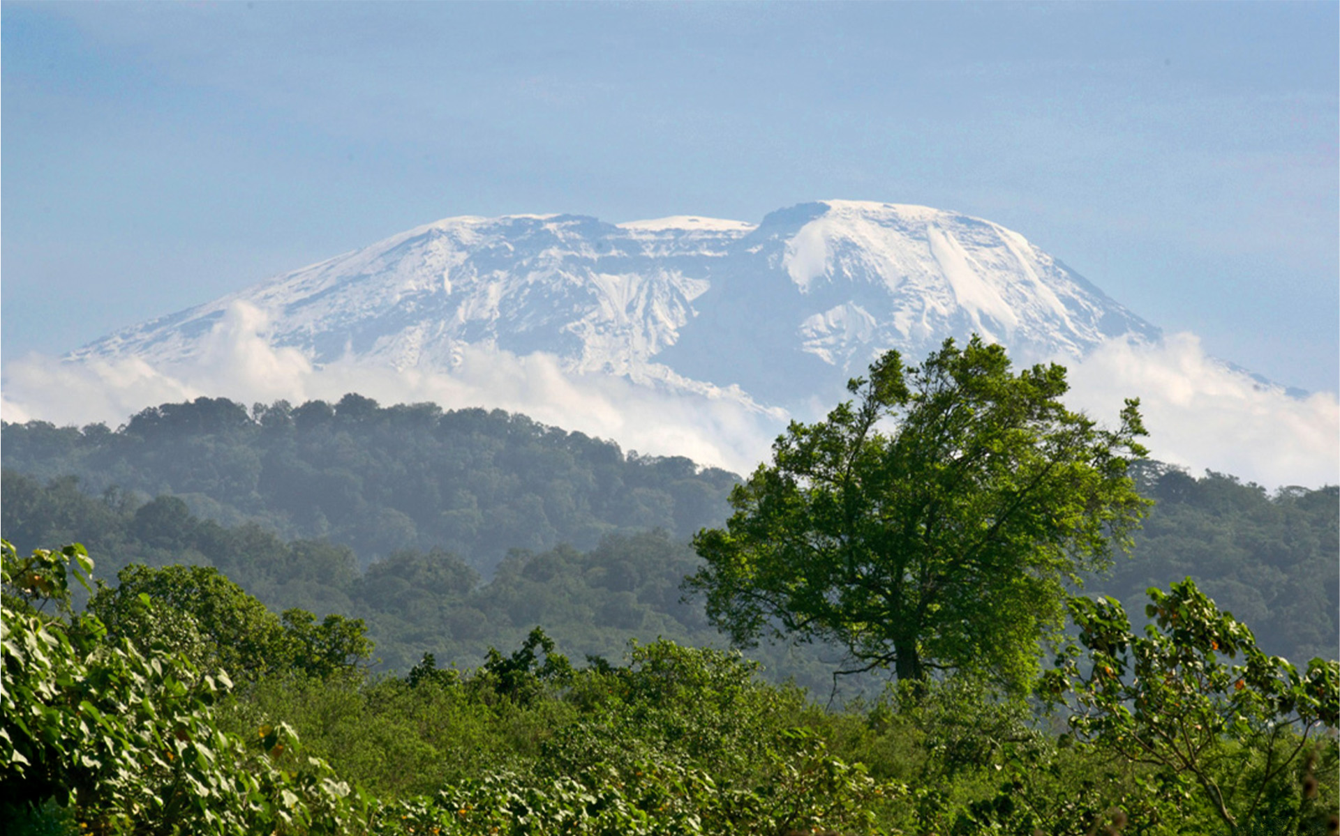 Kilimanjaro Scenic Views