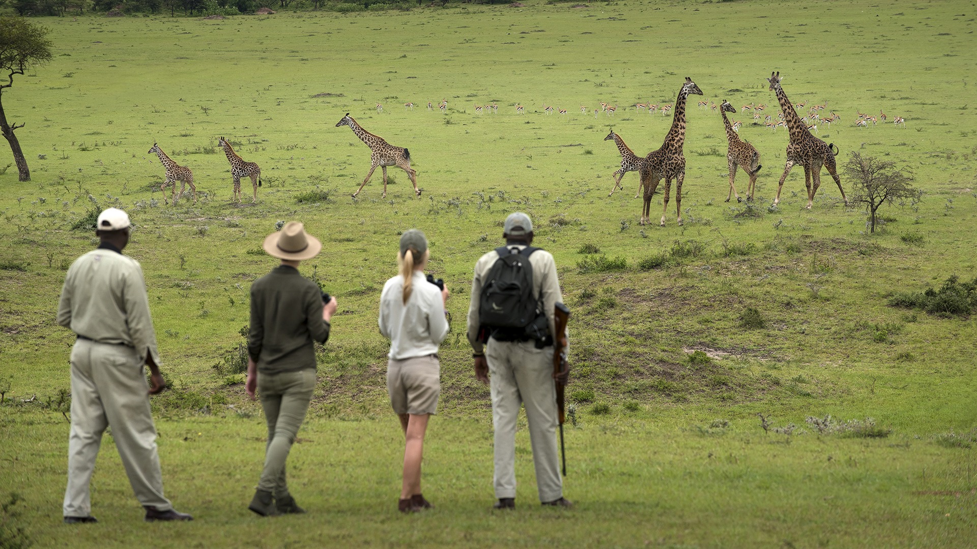 Bespoke Safari Adventures